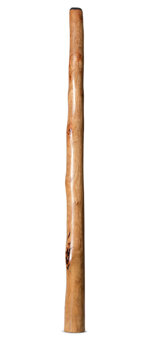 Natural Finish Didgeridoo (TW1788)